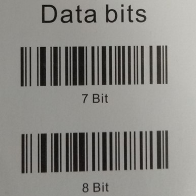 Data bits